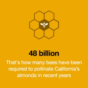 48 billion
