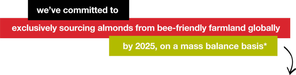 bees 4